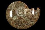 Polished, Agatized Ammonite (Cleoniceras) - Madagascar #78348-1